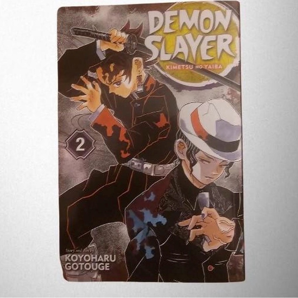 Demon Slayer Manga Volume 2